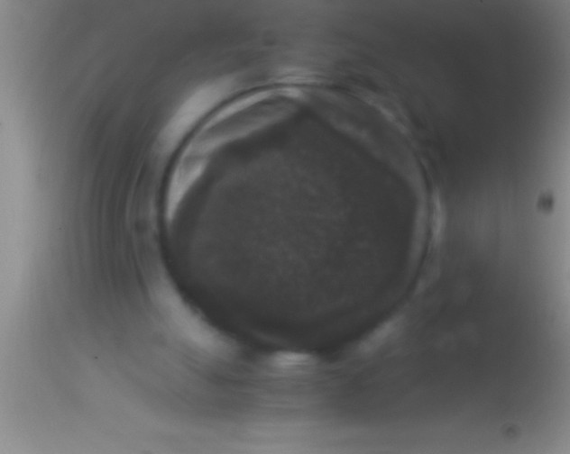 X0000113950055200910161949