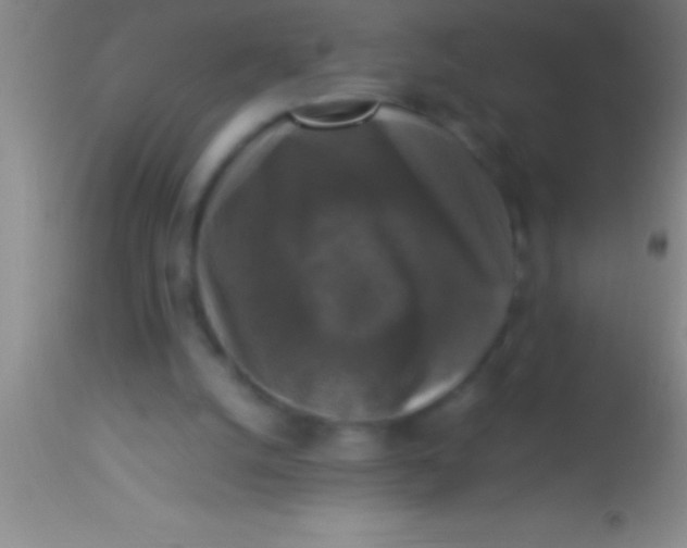 X0000113950056200910161949