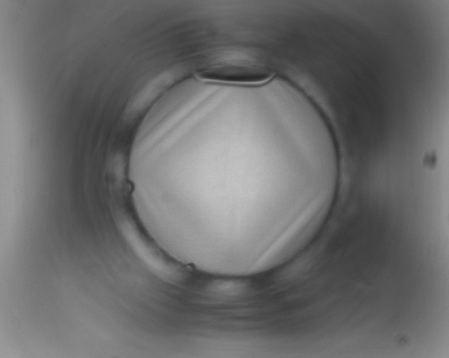 X0000113950057200910161949