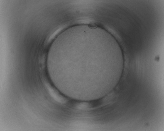 X0000113950058200910161949