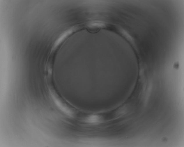 X0000113950059200910161949