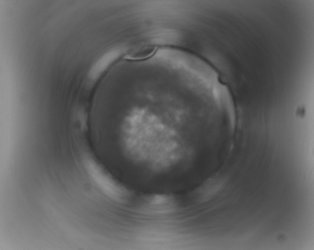 X0000113950060200910161949