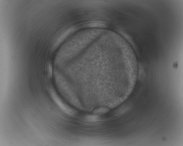 X0000113950061200910161949
