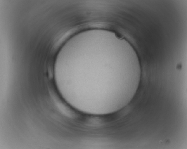 X0000113950062200910161949
