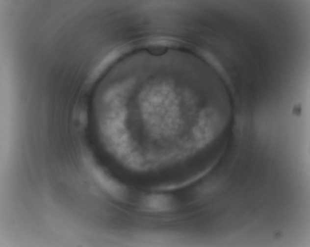 X0000113950063200910161949