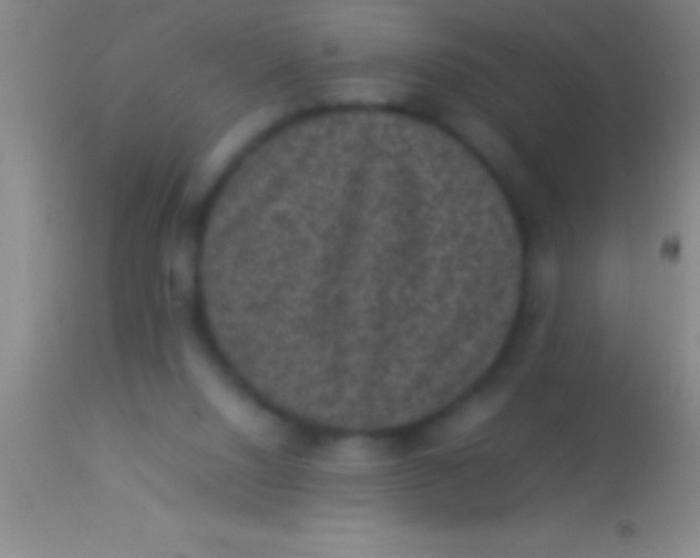 X0000113950064200910161949