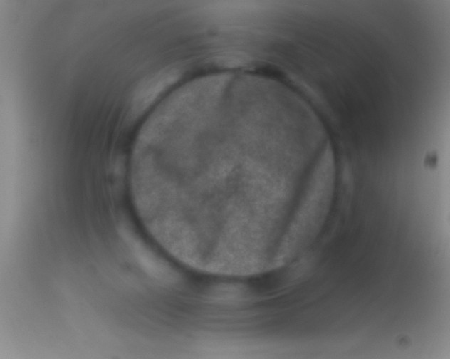 X0000113950066200910161949