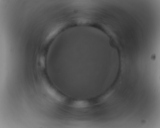 X0000113950067200910161950
