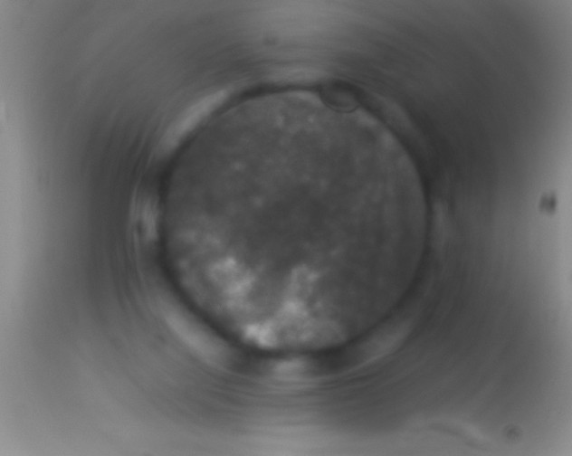 X0000113950068200910161950