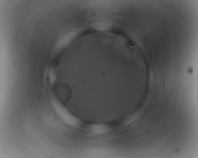 X0000113950069200910161950