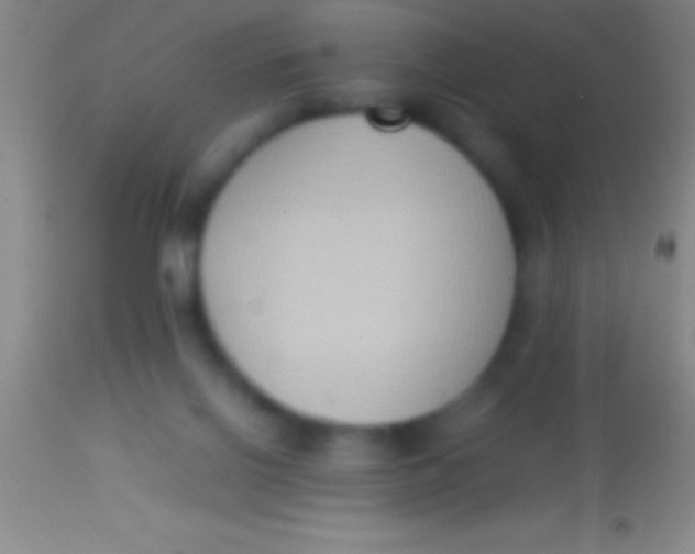 X0000113950070200910161950