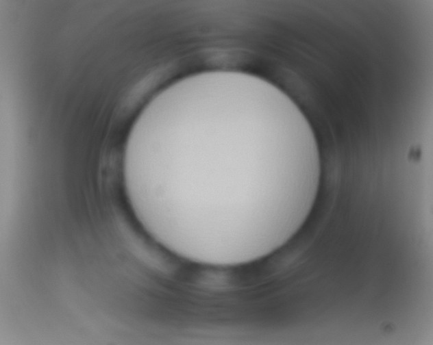 X0000113950071200910161950