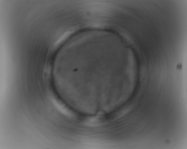 X0000113950072200910161950