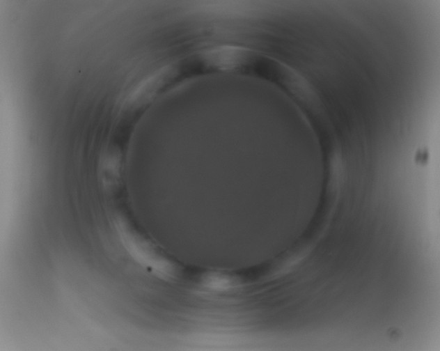 X0000113950073200910161950