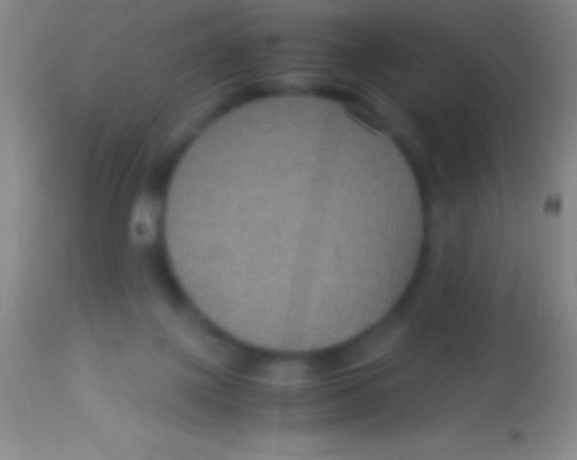 X0000113950075200910161950
