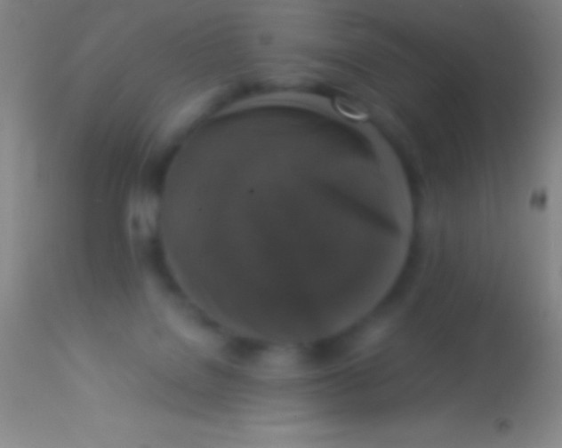 X0000113950076200910161950
