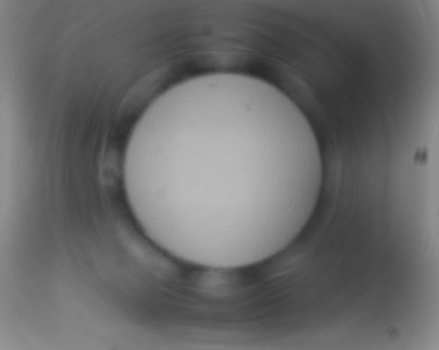 X0000113950077200910161950