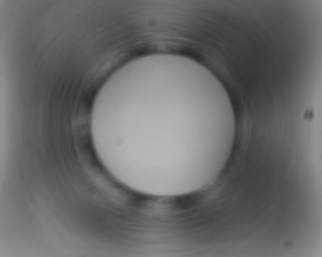 X0000113950078200910161950