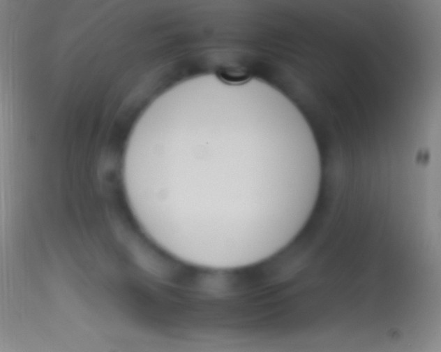 X0000113950079200910161950
