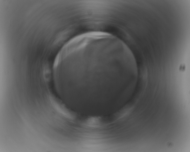 X0000113950080200910161950