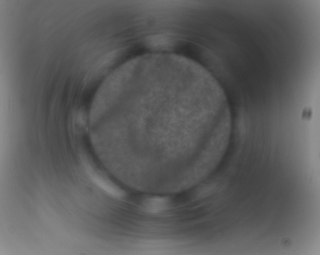 X0000113950081200910161950
