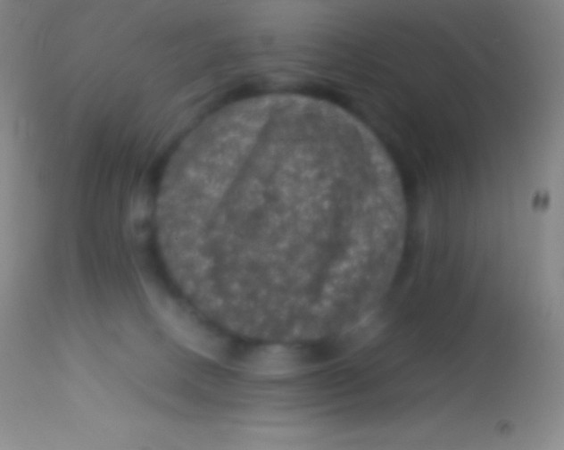 X0000113950082200910161950