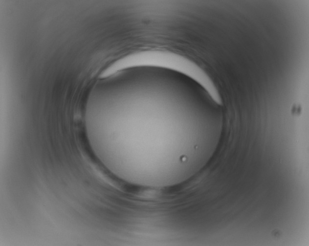 X0000113950084200910161950