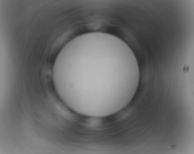 X0000113950085200910161950