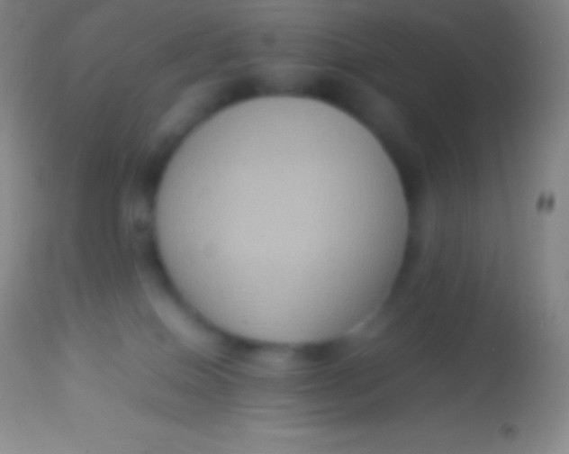 X0000113950086200910161950