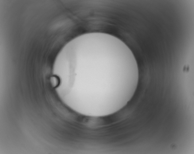 X0000113950087200910161950