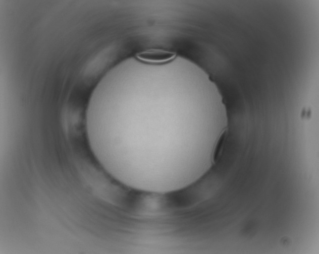 X0000113950088200910161950