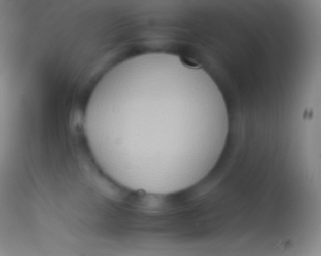 X0000113950089200910161950