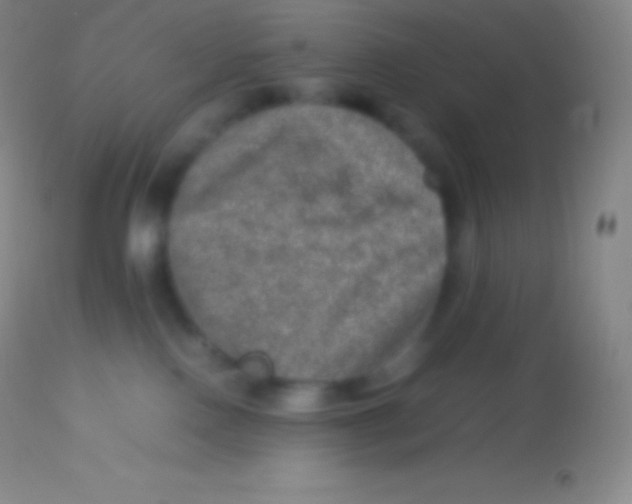 X0000113950090200910161950