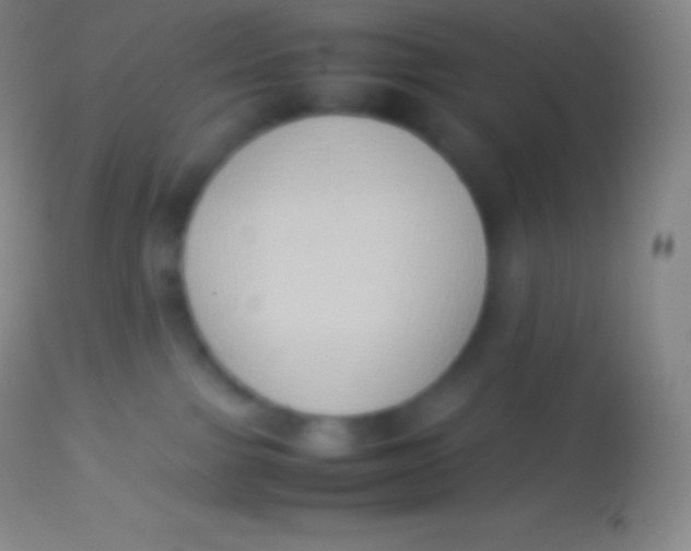 X0000113950091200910161950