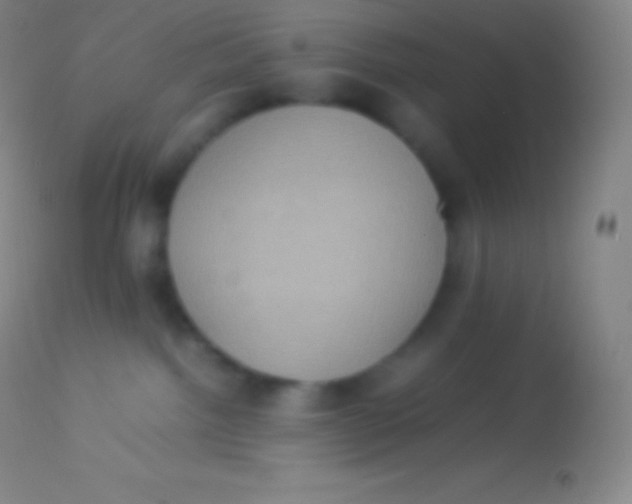 X0000113950092200910161950
