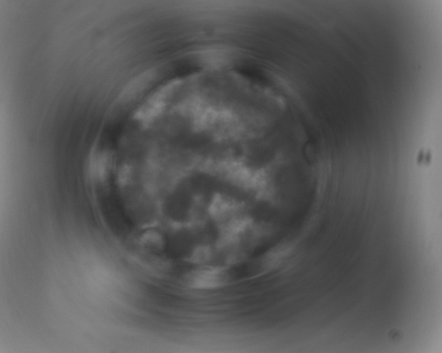 X0000113950093200910161950