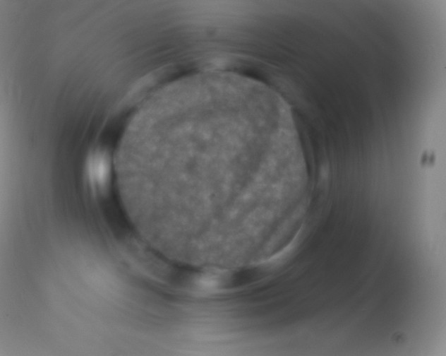 X0000113950094200910161950