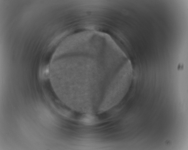 X0000113950095200910161950