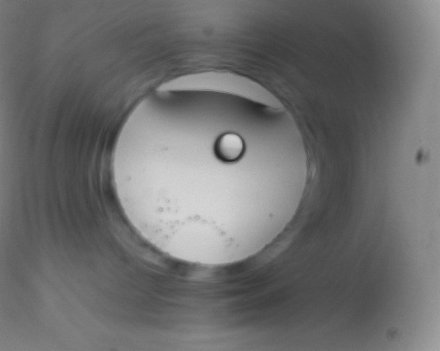 X0000113950096200910161950
