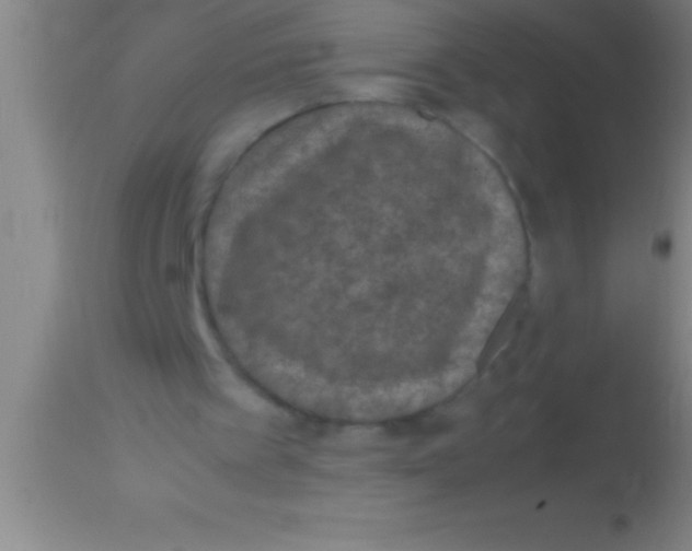 X0000113950097200910161949