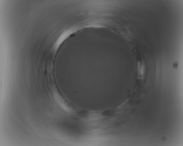 X0000113950099200910161949