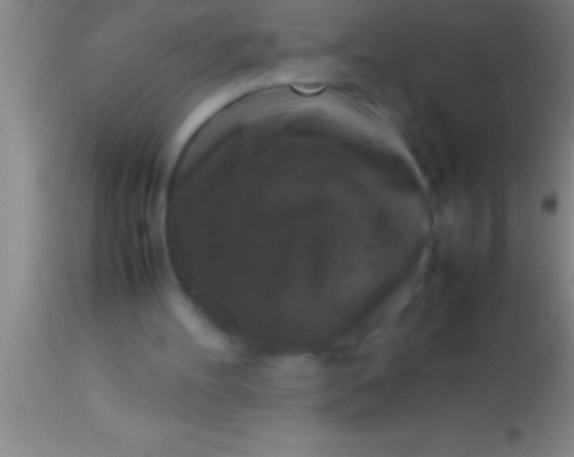 X0000113950100200910161949