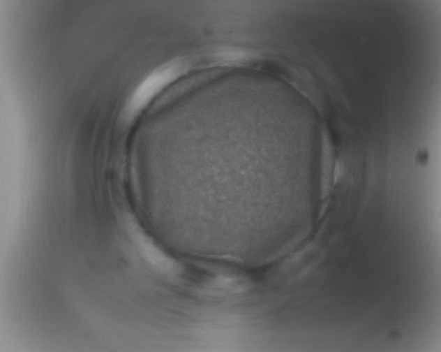 X0000113950101200910161949