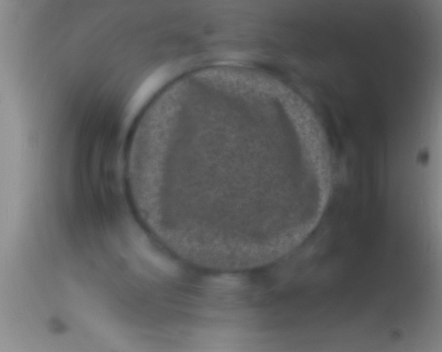 X0000113950102200910161949