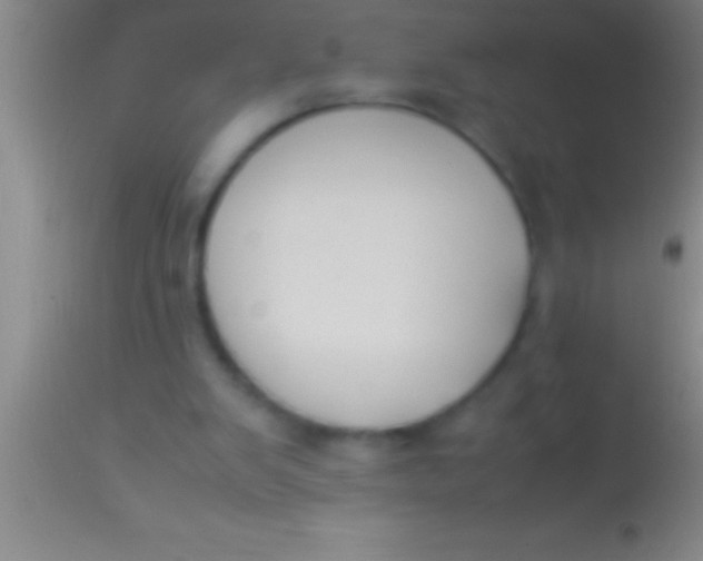 X0000113950103200910161949