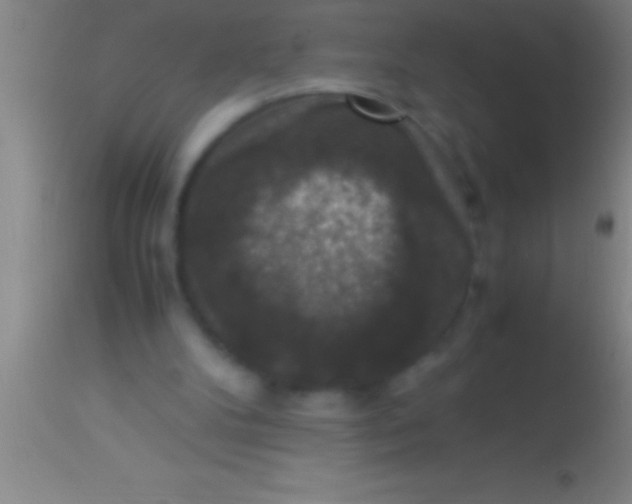 X0000113950104200910161949
