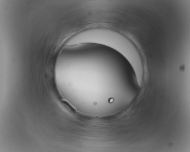 X0000113950105200910161949