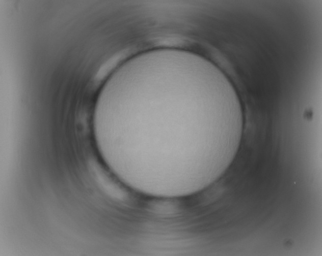 X0000113950106200910161949