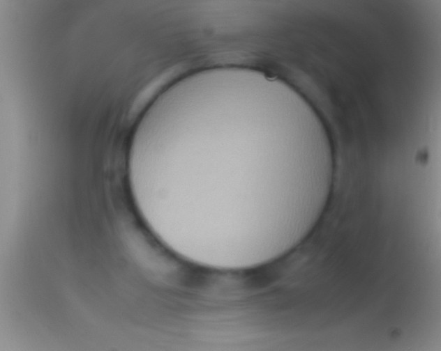 X0000113950107200910161949