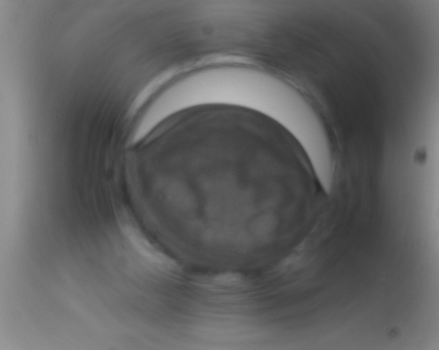 X0000113950108200910161949